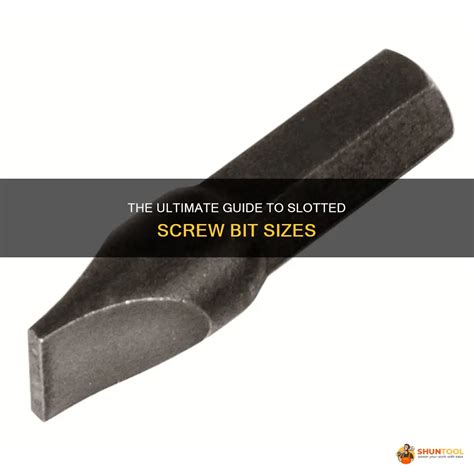 How to Choose the Right Slotted Screwdriver: A Complete Guide.